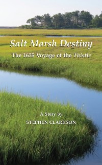 Cover Salt Marsh Destiny