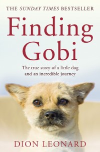 Cover Finding Gobi (Main Edition)