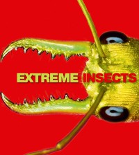 Cover Extreme Insects