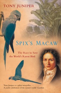 Cover Spix's Macaw