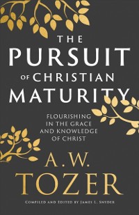 Cover Pursuit of Christian Maturity