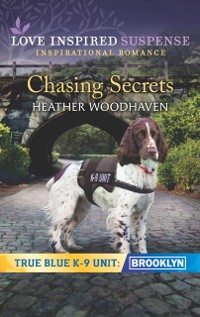 Cover Chasing Secrets