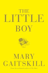 Cover The Little Boy