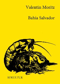 Cover Bahía Salvador