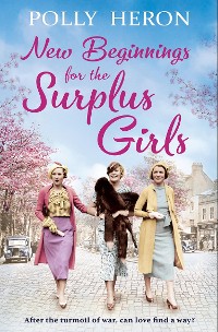 Cover New Beginnings for the Surplus Girls