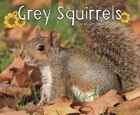 Cover Grey Squirrels