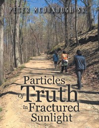 Cover Particles Of Truth In Fractured Sunlight