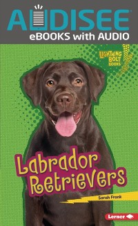 Cover Labrador Retrievers