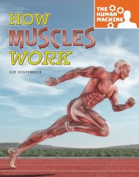 Cover How Muscles Work