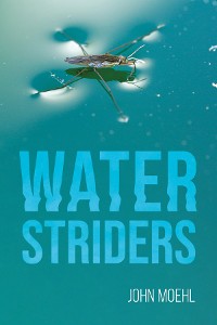 Cover Water Striders