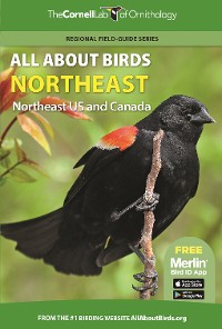 Cover All About Birds Northeast