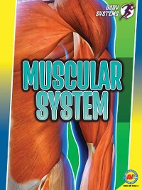 Cover Muscular System