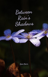 Cover Between Rain's Shadows