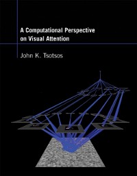 Cover Computational Perspective on Visual Attention