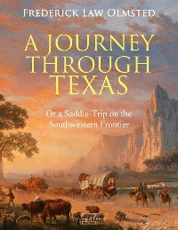 Cover A Journey through Texas