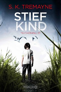 Cover Stiefkind