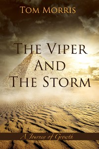 Cover The Viper and the Storm