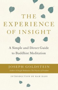 Cover Experience of Insight