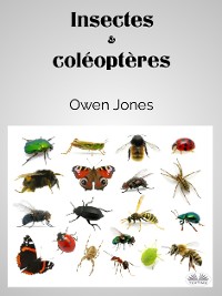 Cover Insectes Et Coléoptères