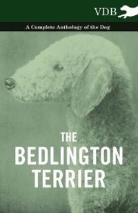 Cover Bedlington Terrier - A Complete Anthology of the Dog -