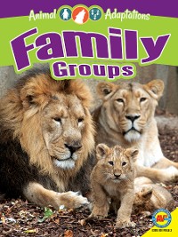 Cover Family Groups
