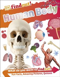 Cover DKfindout! Human Body