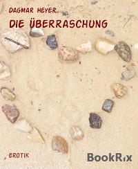 Cover Die Überraschung