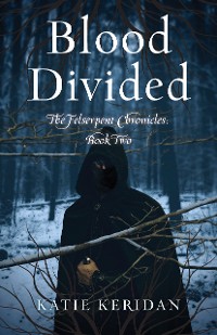 Cover Blood Divided
