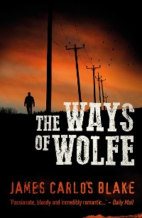 Cover The Ways of Wolfe