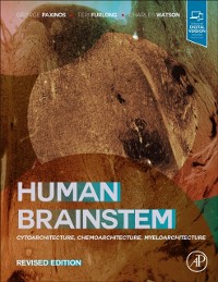 Cover Human Brainstem