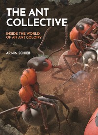 Cover The Ant Collective