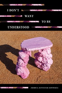 Cover I Don't Want To Be Understood