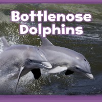 Cover Bottlenose Dolphins