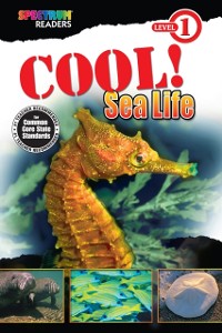 Cover Cool! Sea Life