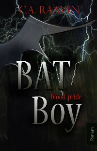 Cover BAT Boy 2