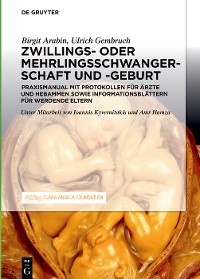 Cover Schwangerschaft, Geburt und Wochenbett von Zwillingen und höhergradigen Mehrlingen