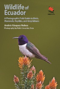 Cover Wildlife of Ecuador