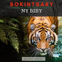 Cover Bokintsary - Ny biby