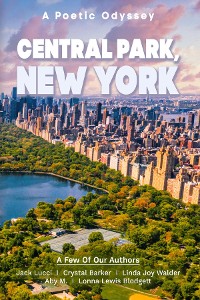 Cover Central Park New York