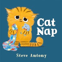 Cover Cat Nap