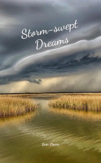 Cover Storm-swept Dreams