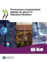 Cover Promovarea competențelor digitale de afaceri în Republica Moldova