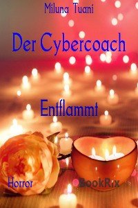 Cover Der Cybercoach