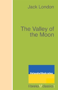 Cover The Valley of the Moon