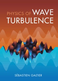 Cover Physics of Wave Turbulence