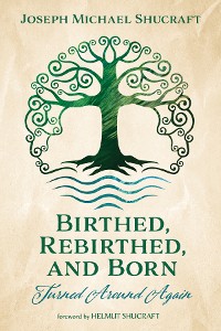 Cover Birthed, Rebirthed, and Born: Turned Around Again