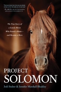 Cover Project Solomon