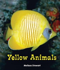 Cover Yellow Animals