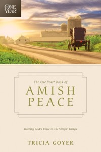 Cover One Year Book of Amish Peace