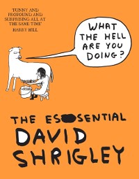 Cover What The Hell Are You Doing?: The Essential David Shrigley